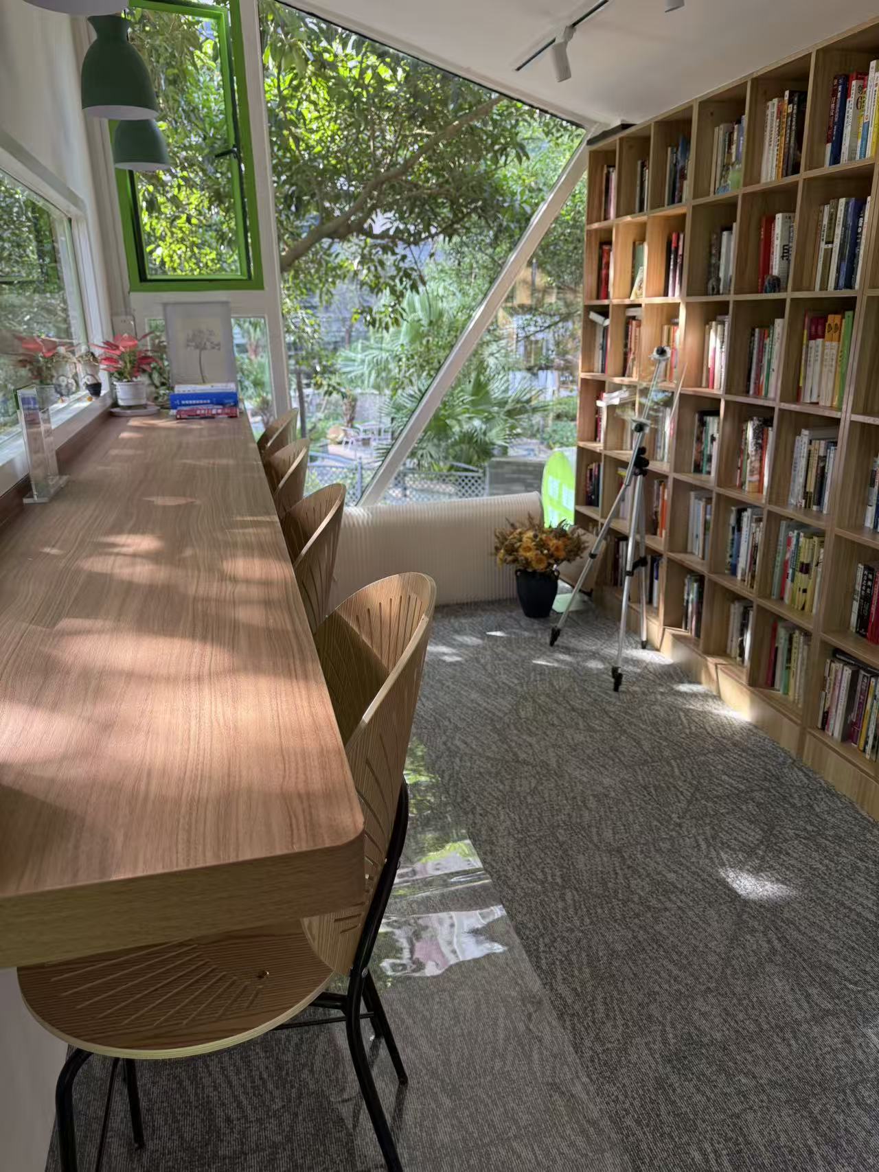 一溪云书屋里的自然光